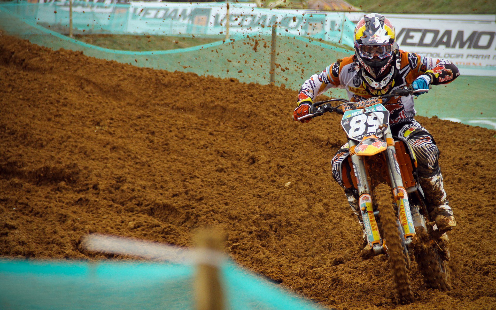 球迷支持樊振东，称反手神准是夺冠关键，樊振东正手发球